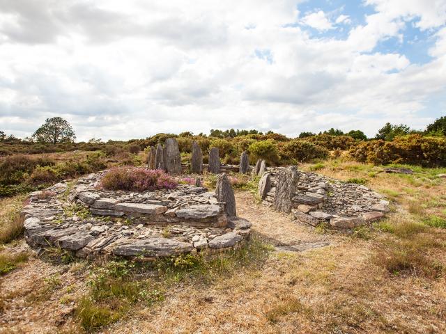 Megaliths on the moors of Cojoux in Saint Just, Brittany