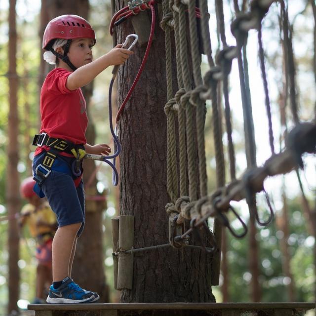 Escalad'arbres à Trémelin