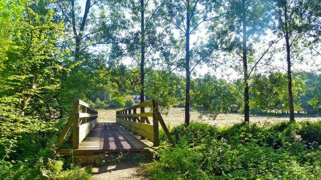 Sentier à Mézières-sur-Couesnon