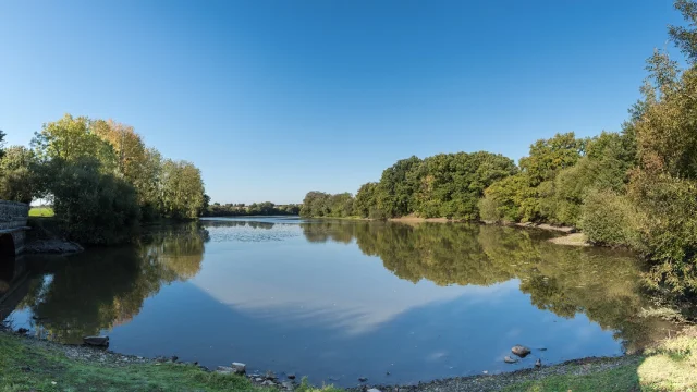 Etang de la Forge à Martigné-Ferchaud