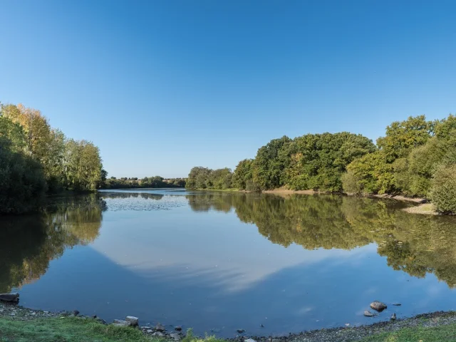 Etang de la Forge à Martigné-Ferchaud