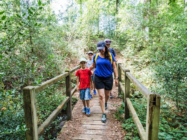 Chasse aux trésors en forêt de Villecartier