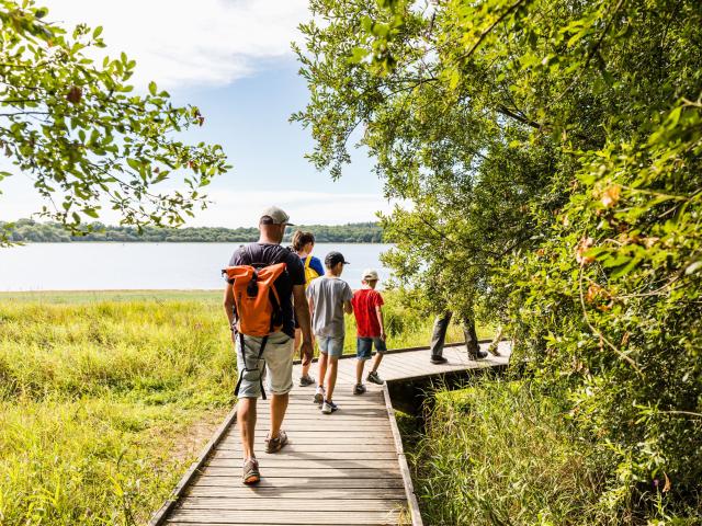 Chasse aux trésors à l'étang de Boulet, Feins