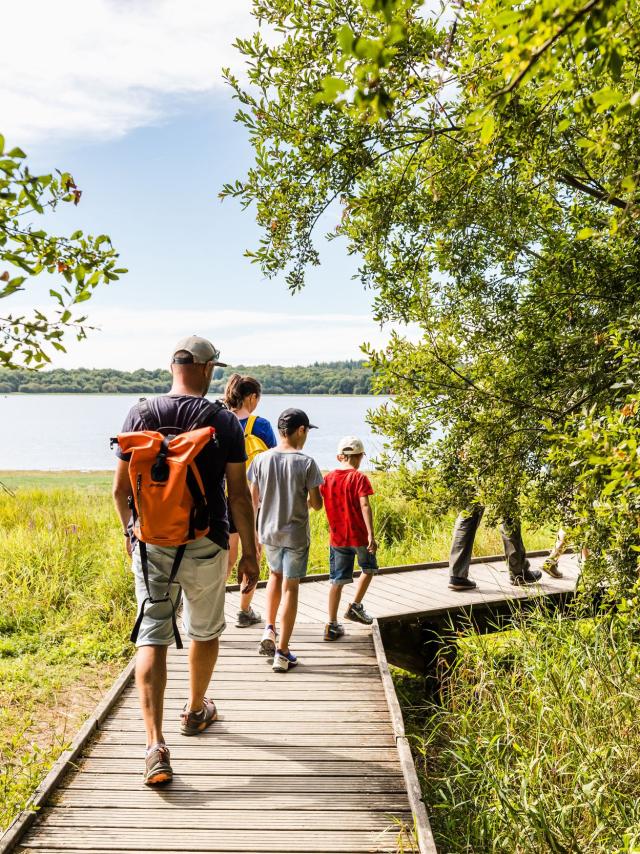 Chasse aux trésors à l'étang de Boulet, Feins