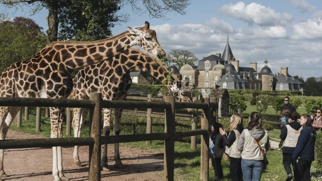 La Bourbansais Nos Coeurs Voyageurs