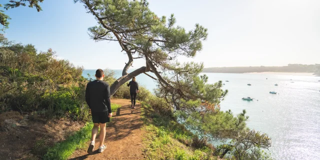 Le GR® 34, de Saint-Coulomb à Cancale