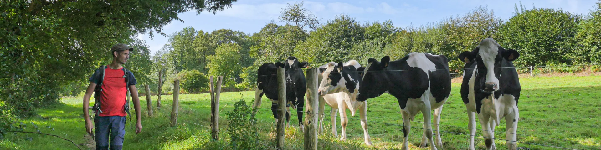 La Valiere 16 David Genestal