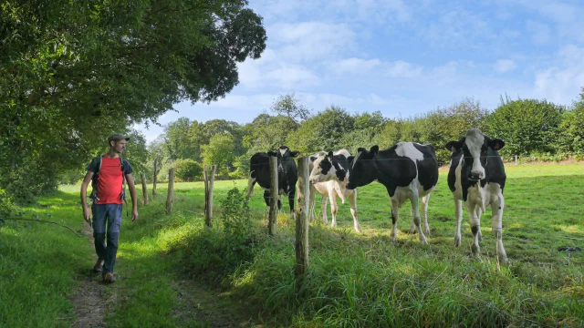 La Valiere 16 David Genestal