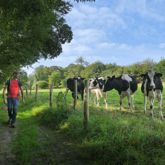 La Valiere 16 David Genestal